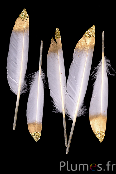 Oie Lame pointe et paillettes dorées - 12-17 cm - blanc-crème